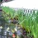 20070720_yamaguchitrip_0371